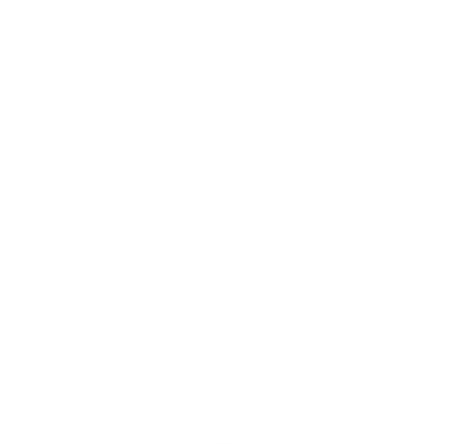 VfL Sittensen | Kunstrasenplätze